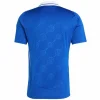 Schalke 04 Camiseta 2024 2025 Casa Azul - Camiseta Schalke 04 | PTDHMALL